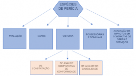 Quais as diferenças entre inspeção, perícia e vistoria Quais as diferenças entre inspeção, perícia e vistoria
