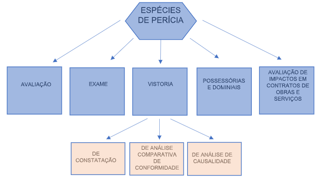 Quais as diferenças entre inspeção, perícia e vistoria Quais as diferenças entre inspeção, perícia e vistoria